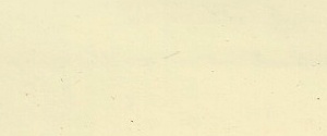 1960 Studebaker White Sand